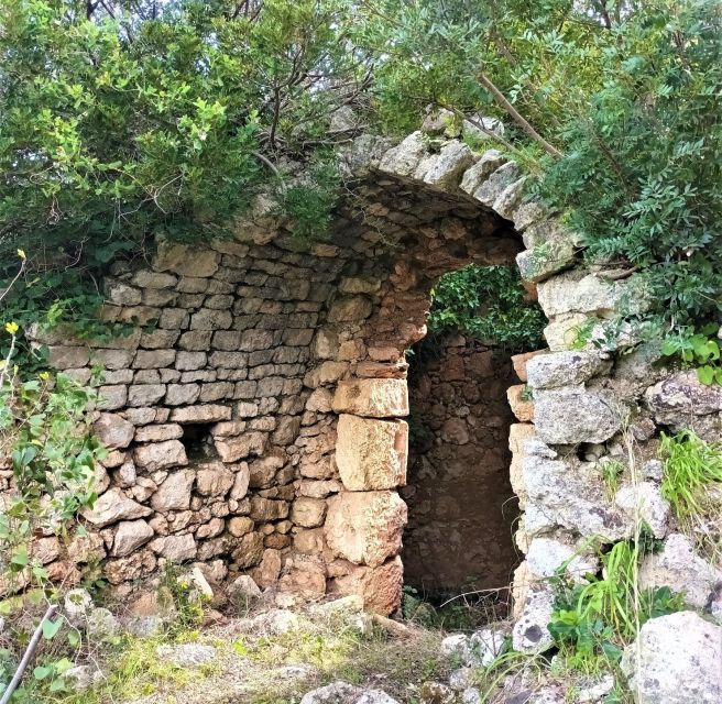 sassari-hiking-with-donkeys-in-cargeghe-and-aperitif