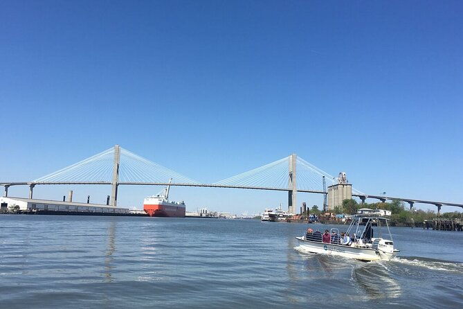 savannah-coastal-dolphin-eco-tour