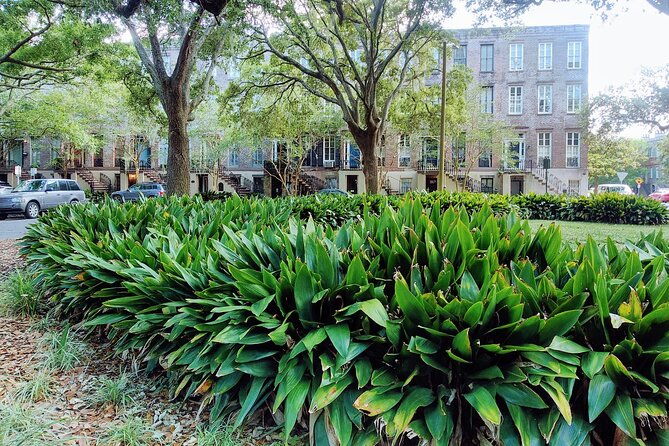 savannah-irish-history-walking-tour