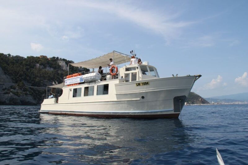 savona-pelagos-sanctuary-wildlife-cruise-with-guide