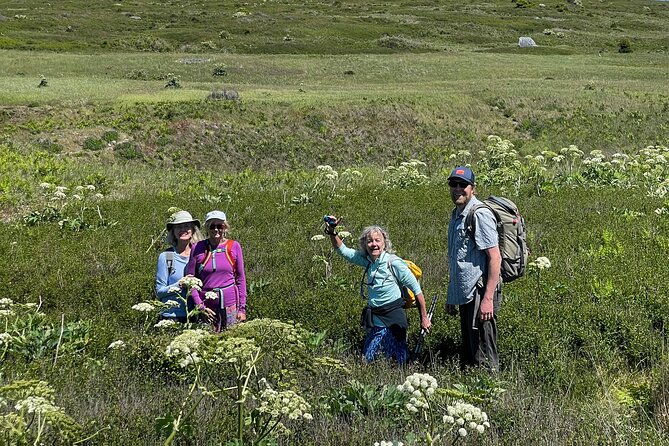 scenic-coast-and-wildlife-tour