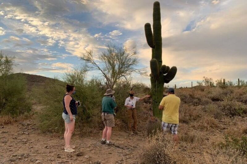scottsdale-mcdowell-sonoran-preserve-hiking-tour