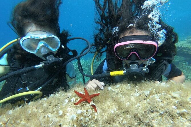 scuba-diving-class-in-mellieha