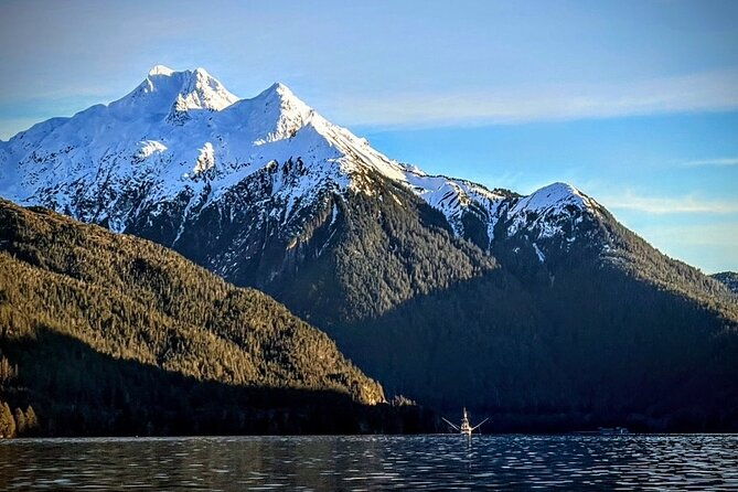 sea-it-all-private-sitka-wildlife-land-sea-combo-for-6-w-meal