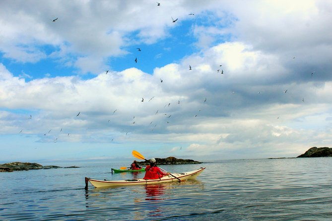 sea-kayak-tour-with-lunch-in-stockholm-archipelago