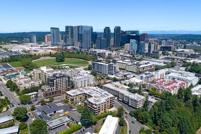 self-guided-scavenger-hunt-beautiful-views-of-bellevue