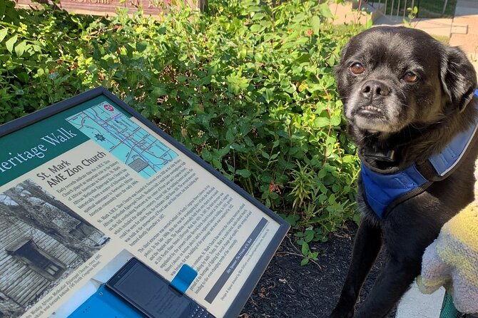 self-guided-scavenger-hunt-in-los-angeles