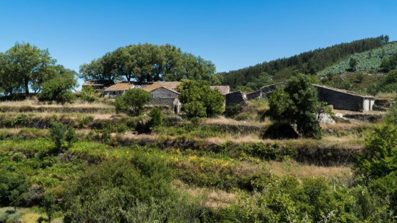 serra-de-monchique-bravura-half-day-off-road-day-trip
