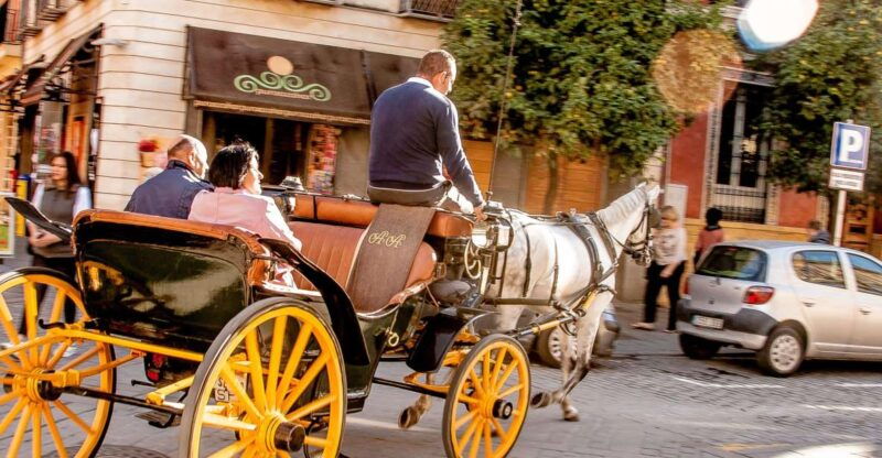 seville-authentic-and-romantic-horse-drawn-carriage-ride