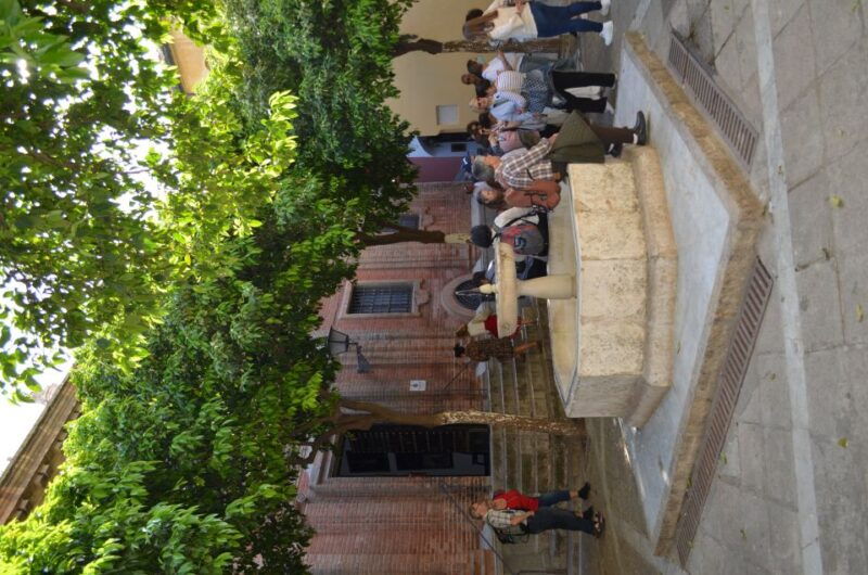seville-cathedral-guided-tour-w-vr-city-tour-roof-lunch