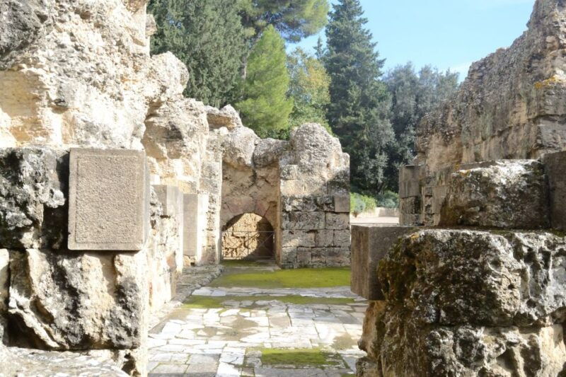 seville-roman-city-of-italica-2-hour-tour