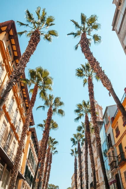 seville-transfer-to-malaga-with-visit-to-ronda