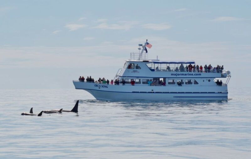 seward-resurrection-bay-orca-quest-cruise