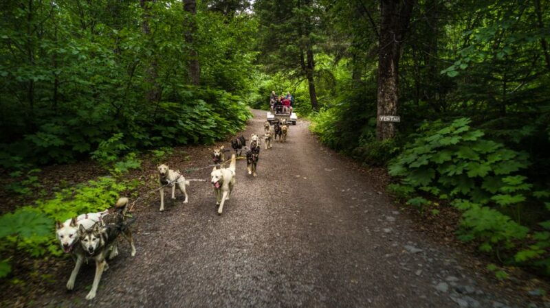 seward-summer-dog-sled-ride-and-seavey-estate-tour