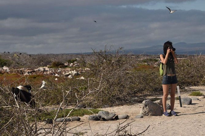 seymour-north-island-las-bachas-full-day-tour