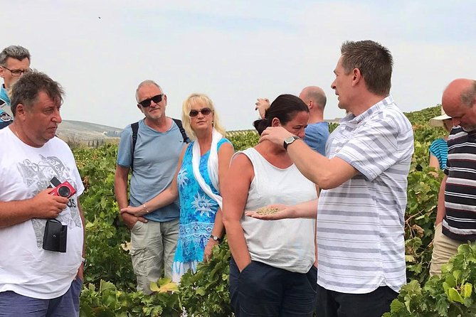 sherry-experience-in-the-vineyard
