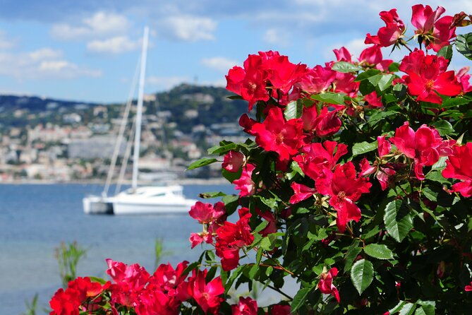 shore-excursion-to-grasse-antibes-st-paul-de-vence-from-cannes