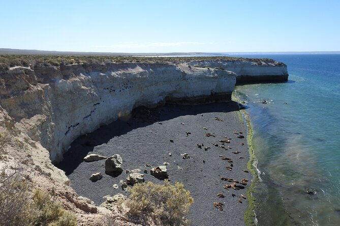 shore-tour-punta-loma-with-craft-beer-tasting