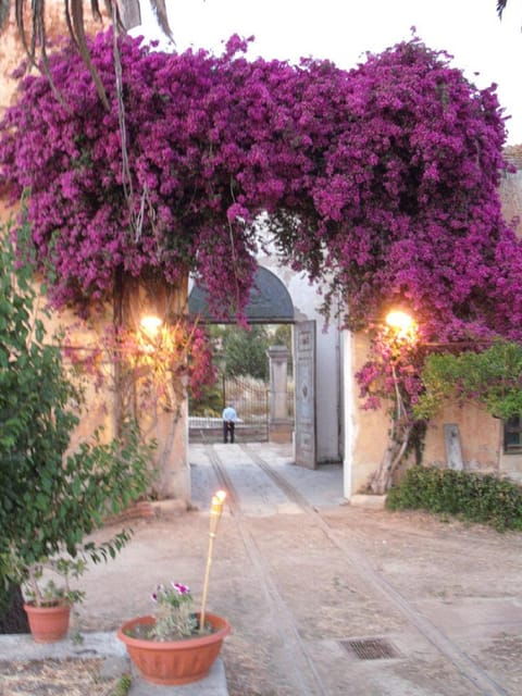 sicilian-cooking-class-in-the-historic-florio-adamo-baglio