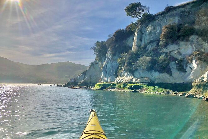 sick-day-midweek-kayak-tour-on-tomales-bay