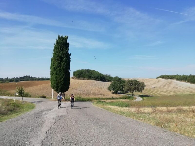 siena-chianti-classico-guided-cycling-tour