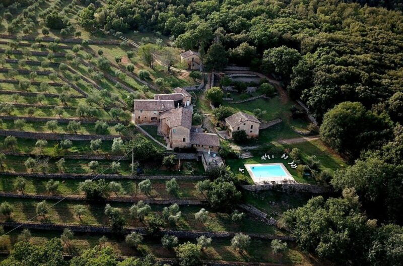 siena-evo-oil-experience-with-walk-tasting-and-lunch