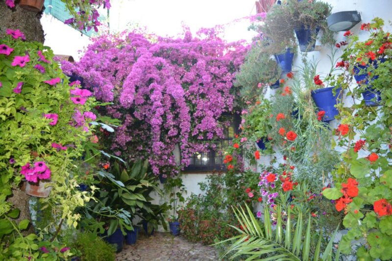 sights-sounds-and-scents-of-cordobas-patios