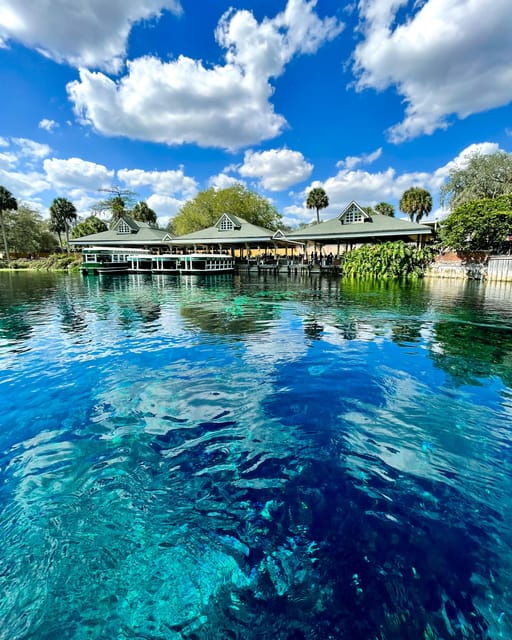 silver-springs-clear-kayak-wildlife-tour