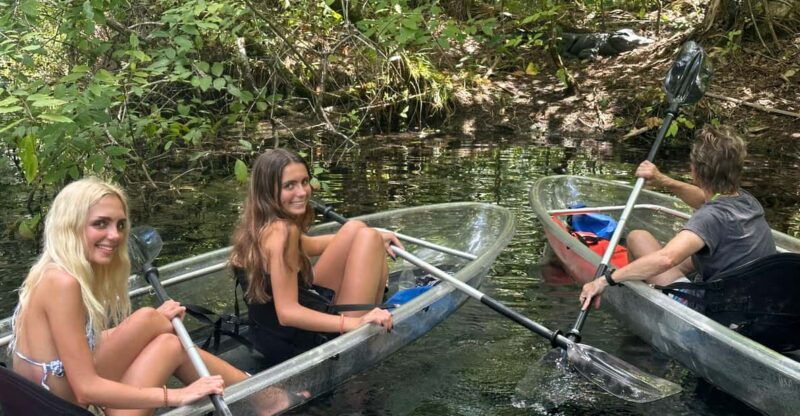 silver-springs-guided-clear-kayak-or-paddleboard-gator-tour