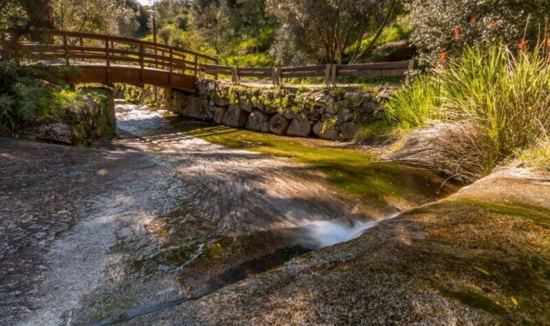 silves-caldas-and-monchique-wine-tasting-full-day-tour