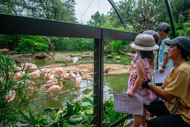 skip-the-line-houston-zoo-admission-ticket