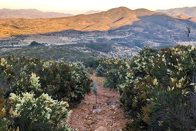 small-group-hike-through-san-diegos-heart-and-soul