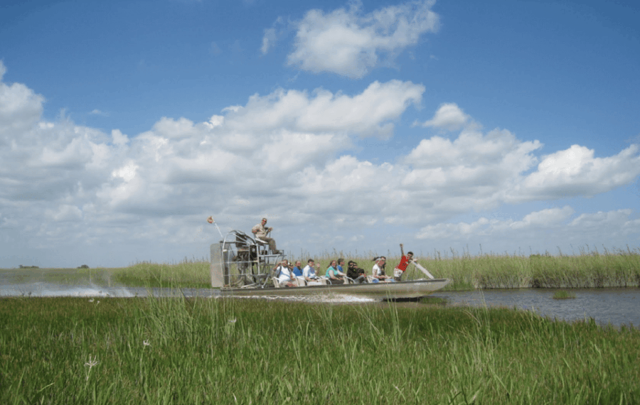 Small Group Miami and Everglades National Park 1-day Tour