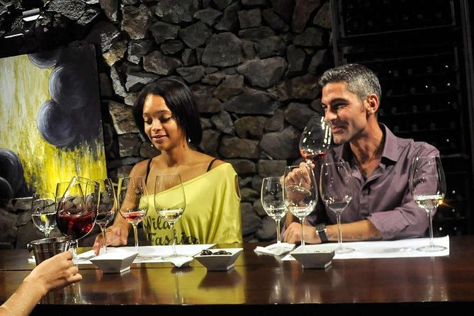 small-group-tour-in-2-wineries-in-lujan-de-cuyo-or-maipu
