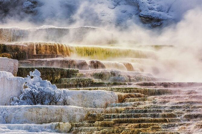 small-group%ef%bc%9aslc-grand-tetonyellowstone-national-park-4-day-tour