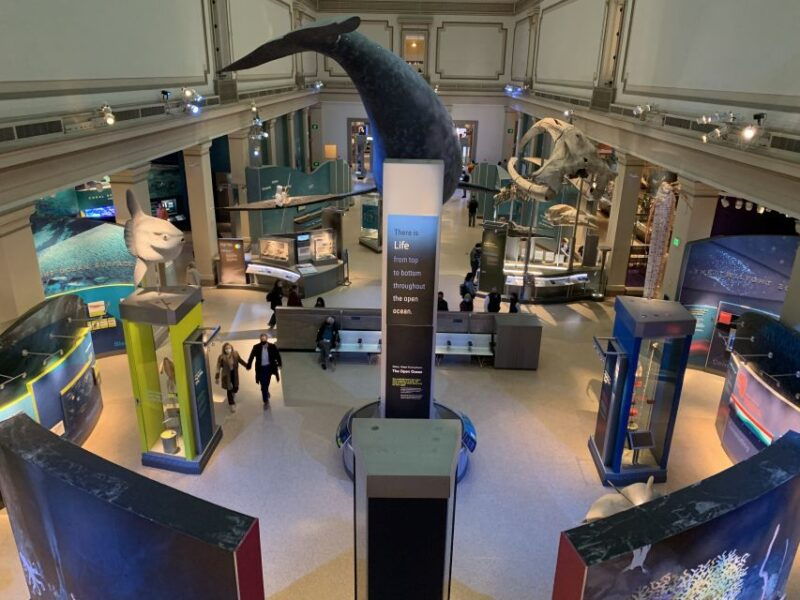 smithsonian-national-museum-of-natural-history-guided-tour
