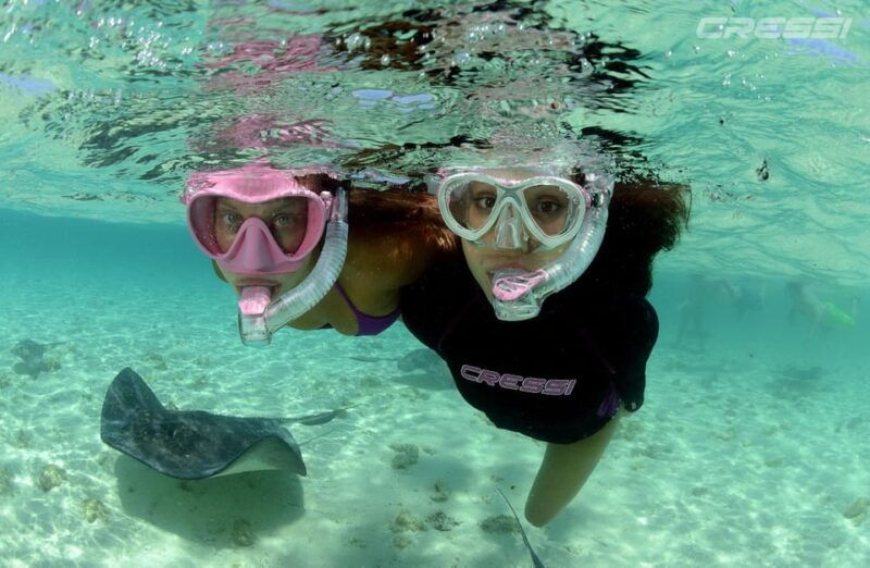 snorkel-tour-why-not