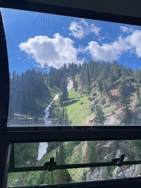 snowbird-summer-excursion-day-tour