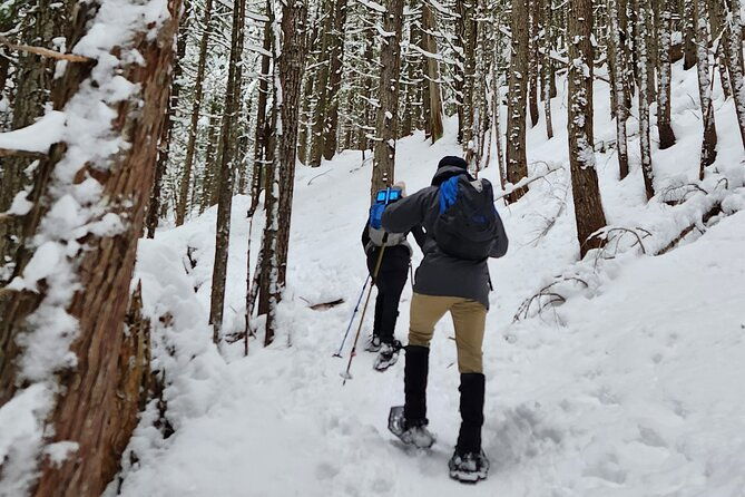 snowshoeing-at-crystal-mountain-by-mount-rainier