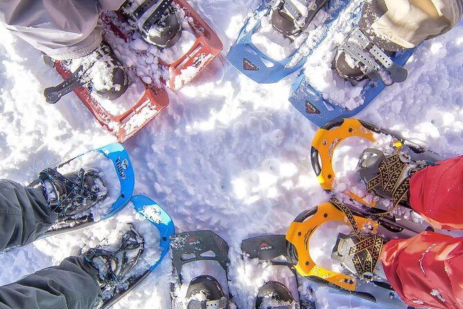 snowshoeing-in-chamonix-with-a-private-guide