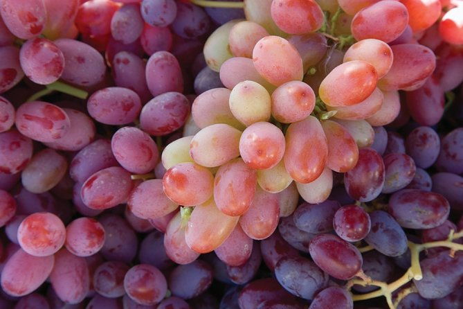 sonoma-and-napa-wine-tour-private-tours-8-to-10-hours-max-14-pax