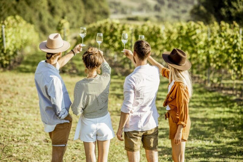 sonoma-valley-guided-winery-tour-with-picnic-lunch