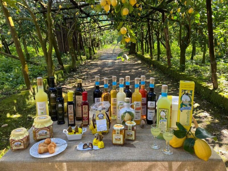 sorrento-coast-e-bike-tour-with-limoncello-tasting