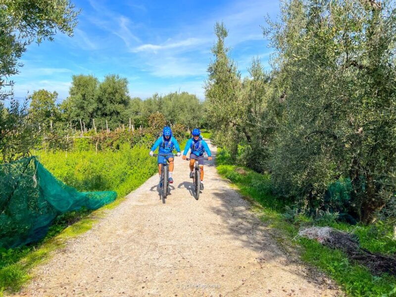 sorrento-e-bike-oil-lemon-tour-with-tasting