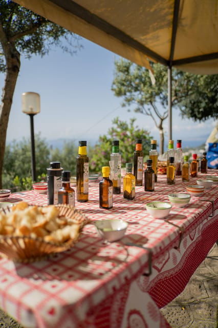 sorrento-lemons-grovecheese-show-with-local-food-tasting
