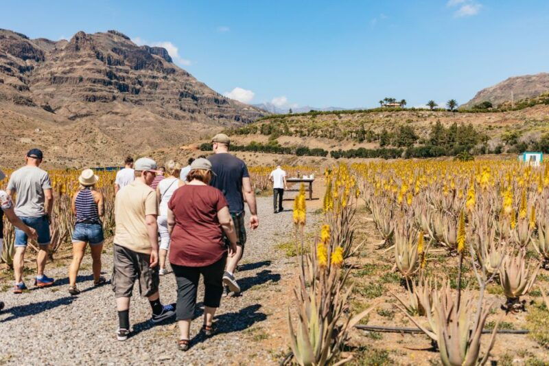 south-gran-canaria-off-road-valleys-villages-jeep-tour