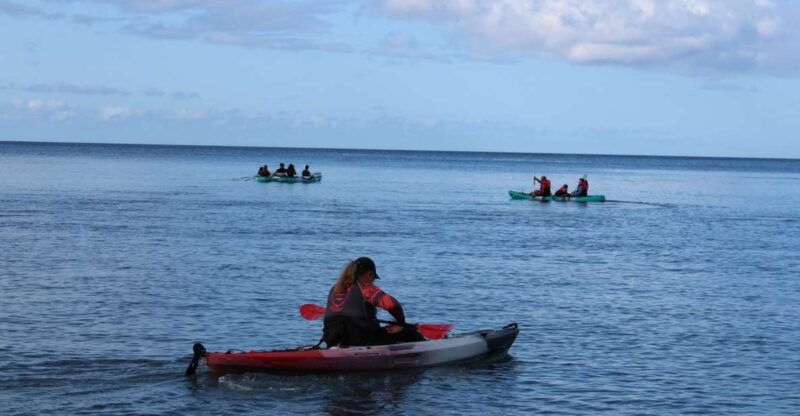 south-maui-auau-channel-kayak-and-snorkel-adventure