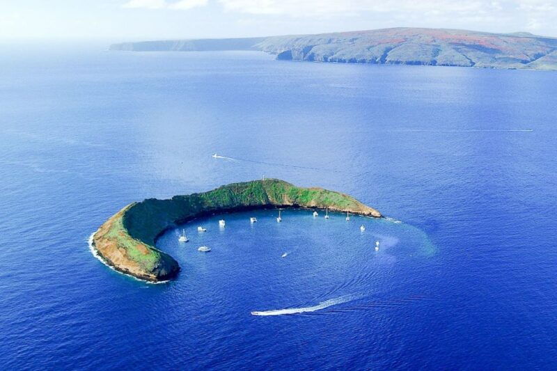 south-maui-molokini-turtle-town-snorkeling-tour-with-meal