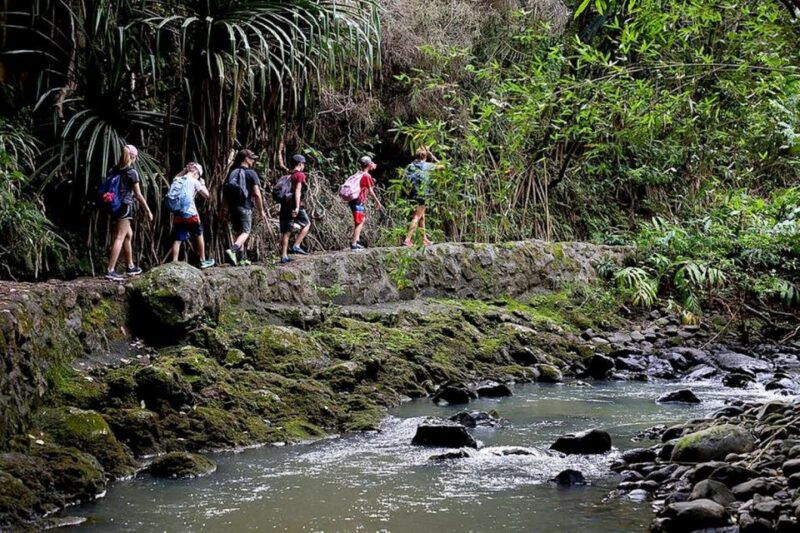 south-maui-waterfall-tour-w-kayak-snorkel-and-hike