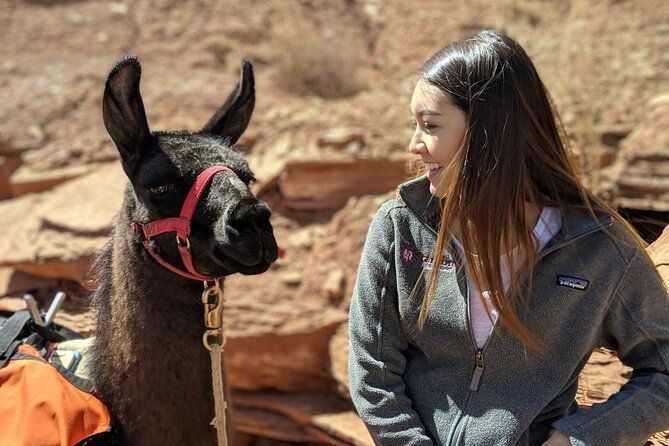spectacular-8-hour-guided-llama-hike-with-lunch-and-dinner